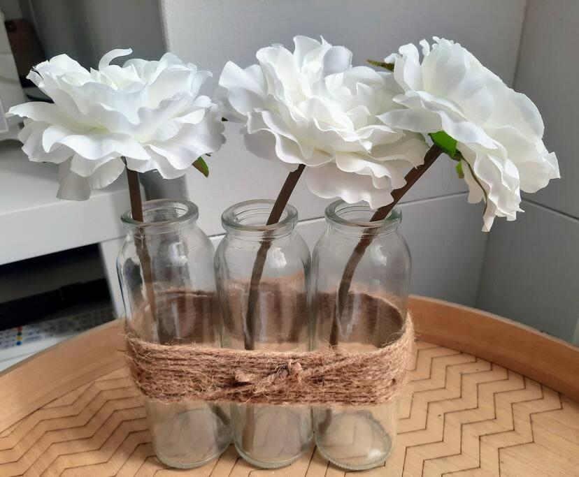 La Palme De Retz Apartment Pornic Luaran gambar